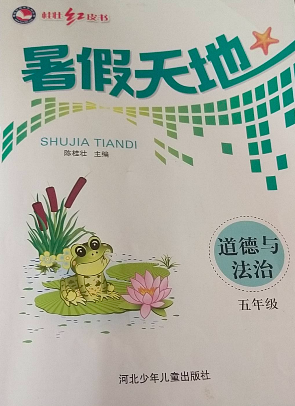 2023年暑假天地五年级政治下册通用版