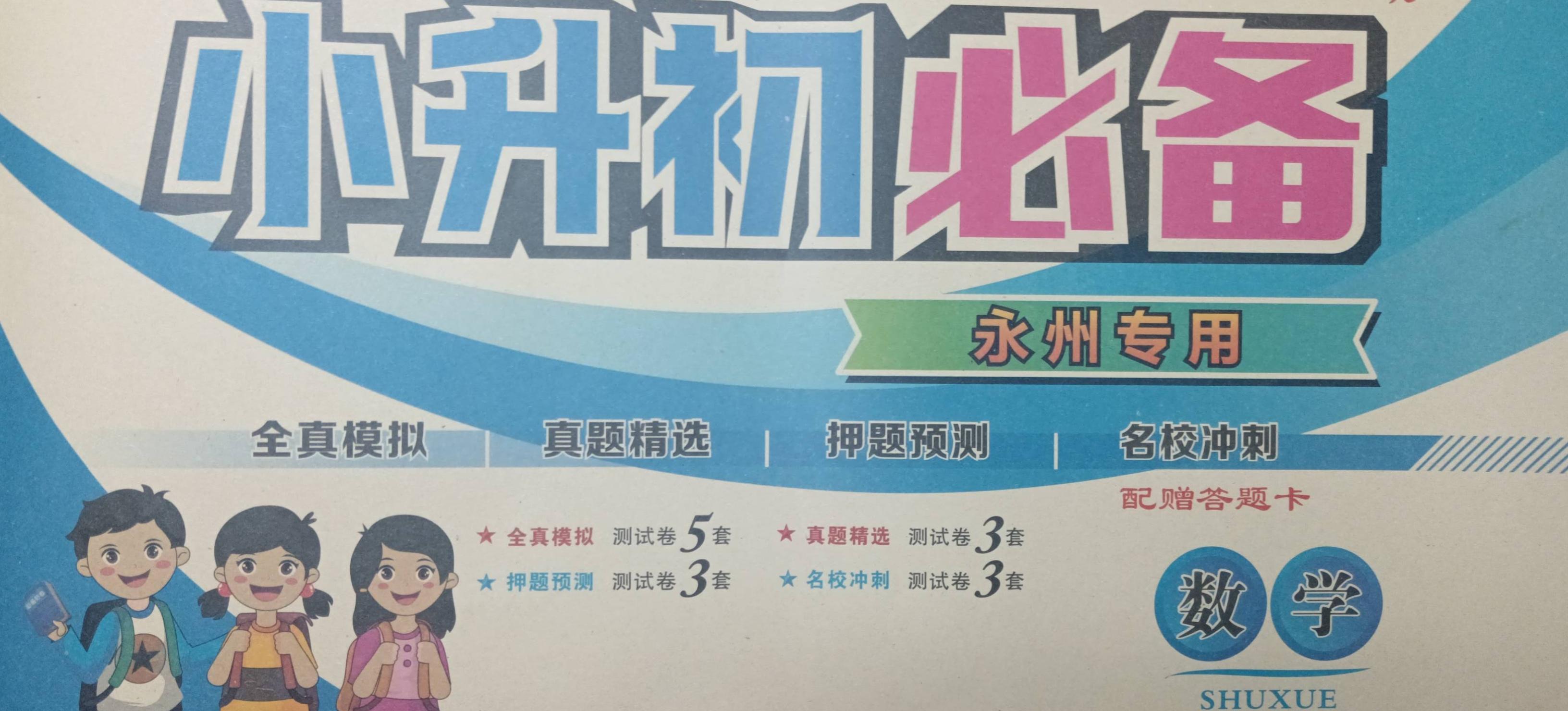 2023年小升初必备.小学数学全册永州专版