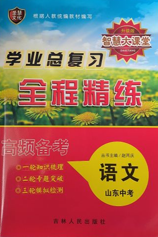 2024年智慧大课堂·学业总复习全程精练九年级语文全册山东专版