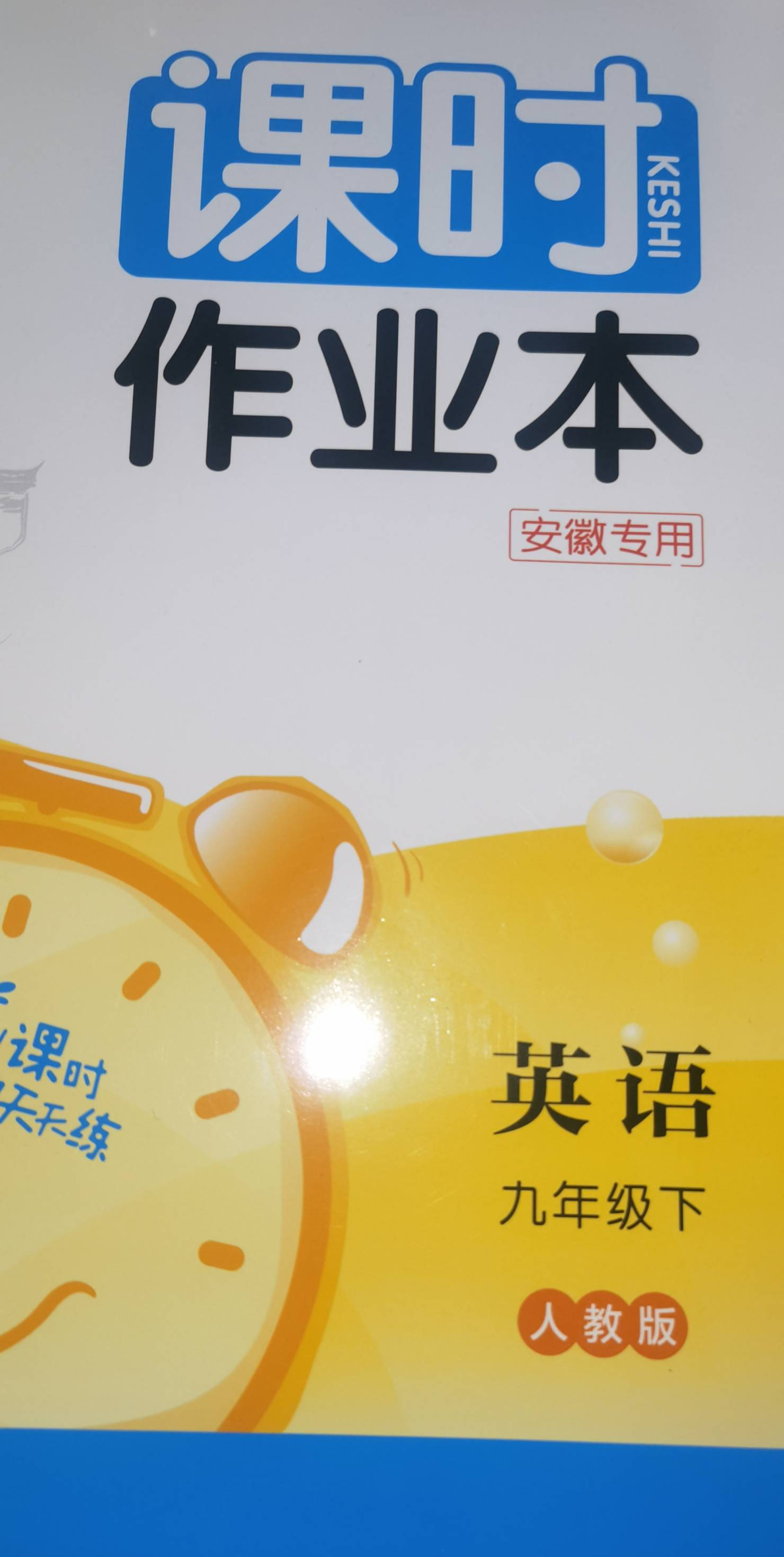 2024年课时作业本九年级英语下册人教版安徽专版