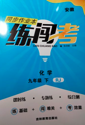 2023年同步作业本练闯考九年级化学下册人教版安徽专版