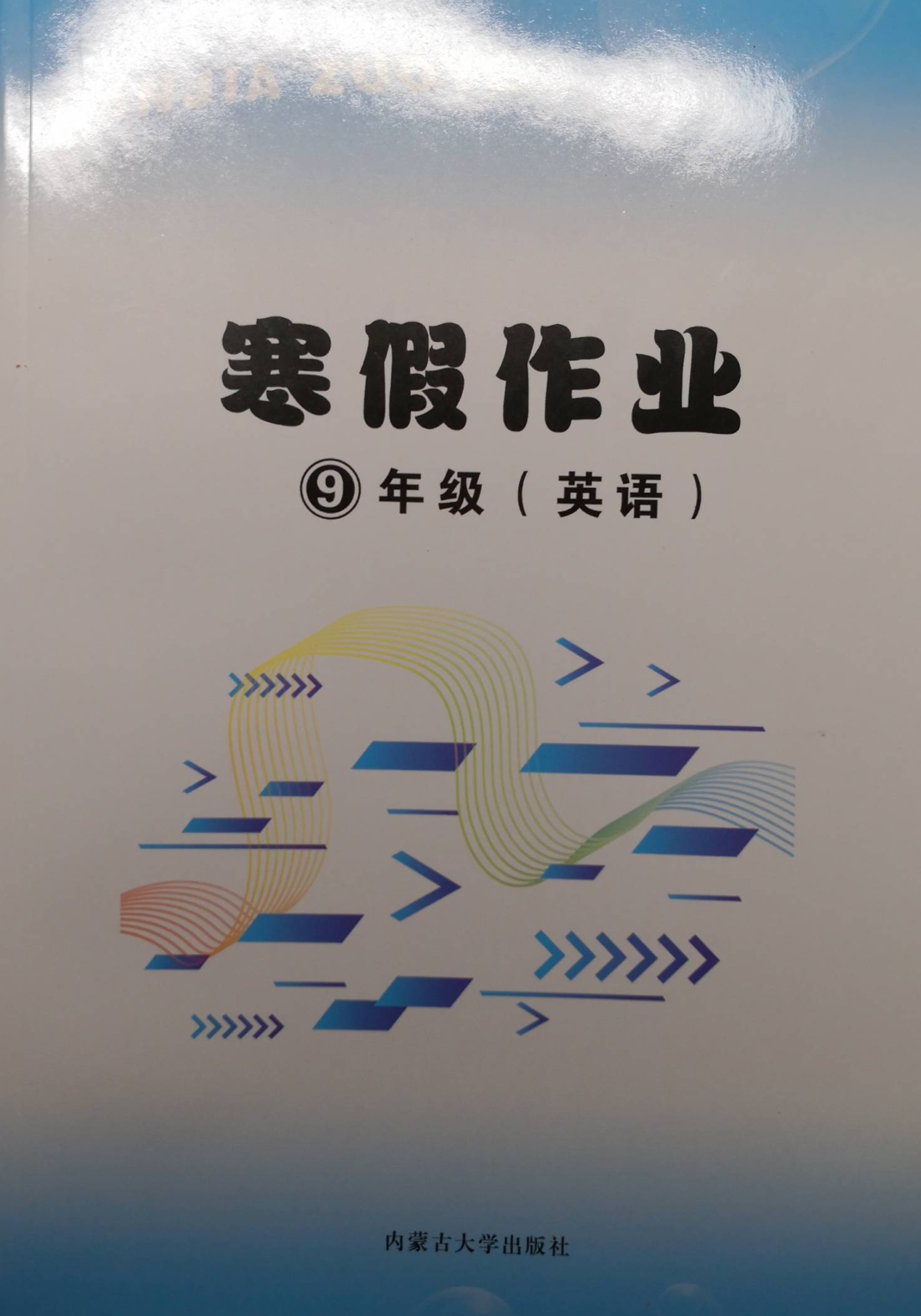 2024年寒假作业九年级英语全册通用版
