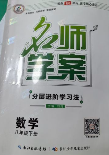 2024年名师学案 分层进阶学习法八年级数学下册通用版