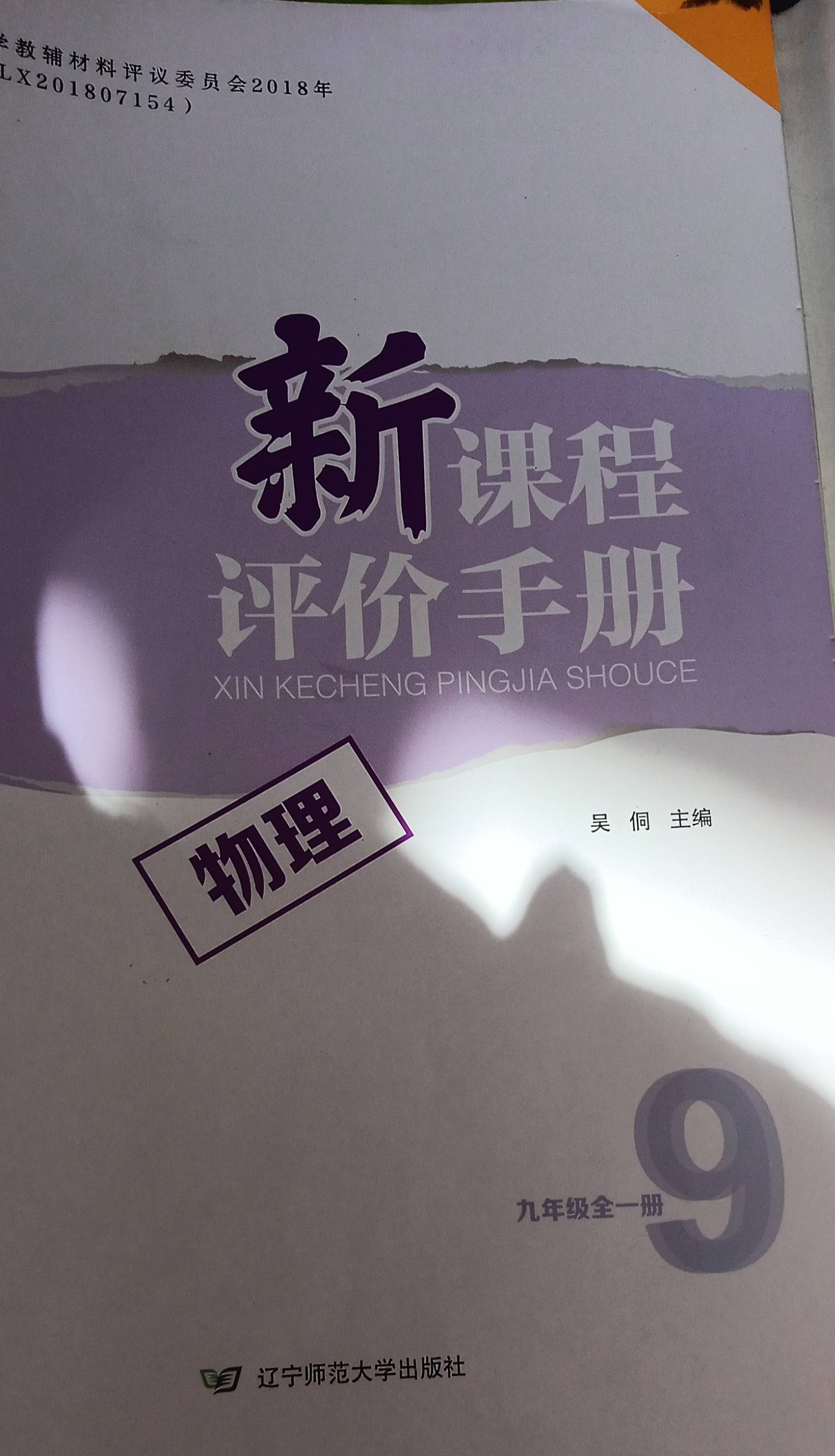 2024年新课程评价手册九年级物理全册通用版