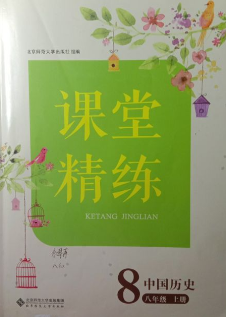 2023年课堂精练八年级历史上册通用版