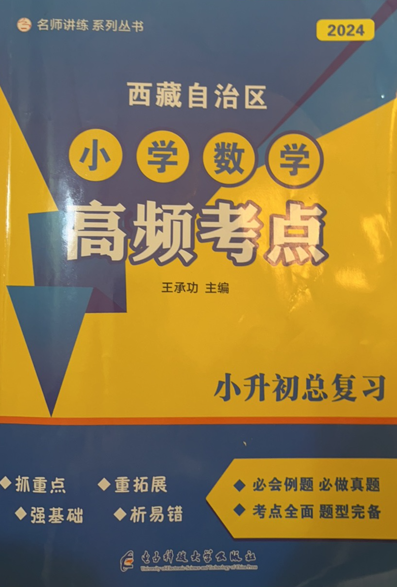 2024年小升初总复习小学高频考点小学数学全册西藏自治区专版