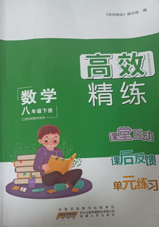2023年高效精练课堂互动课后反馈单元练习八年级数学下册江苏专版