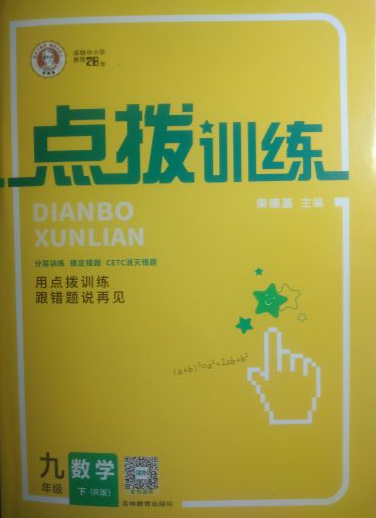 2024年点拨训练九年级数学下册R版