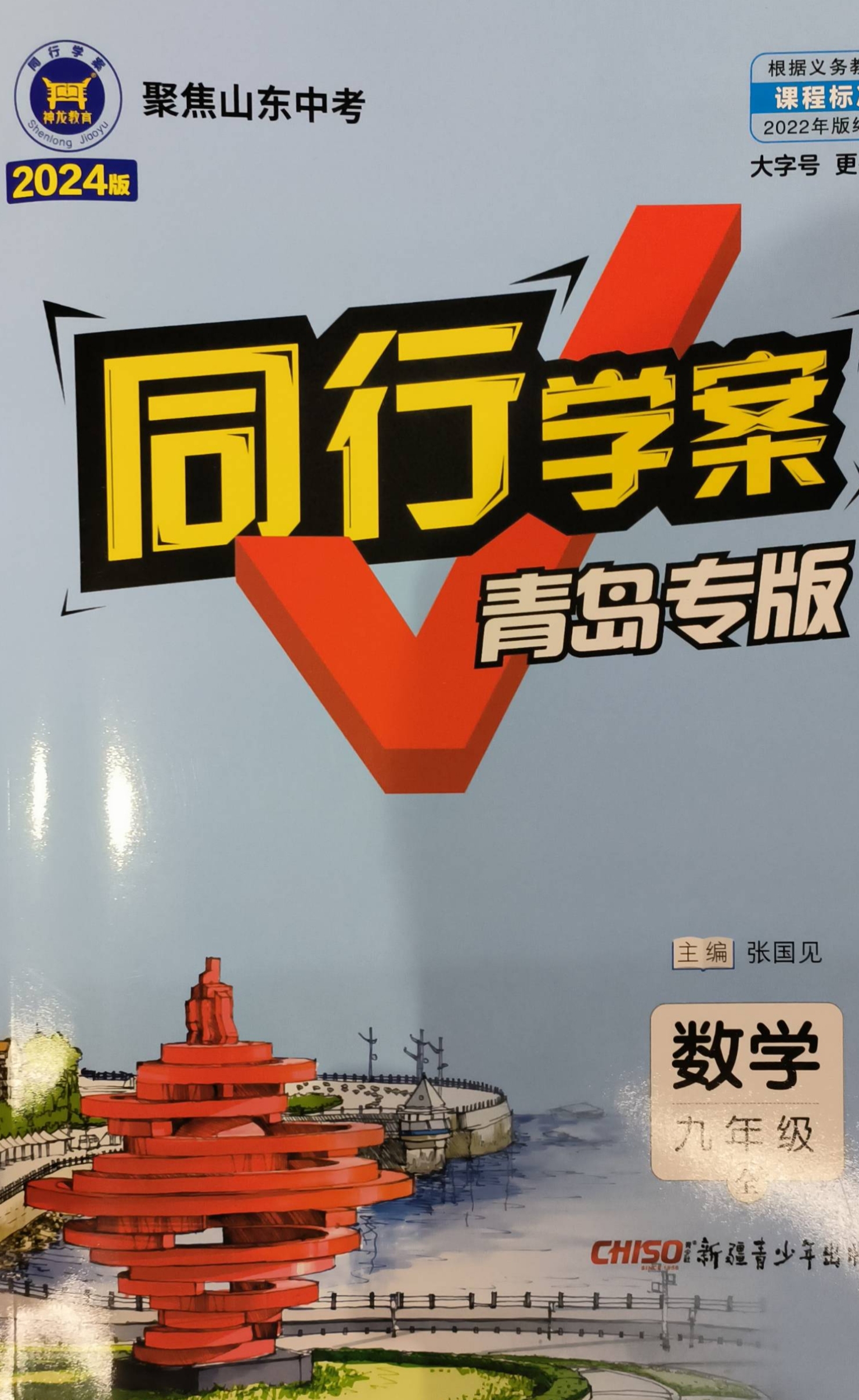 2024年同行学案九年级数学全册其他青岛专版