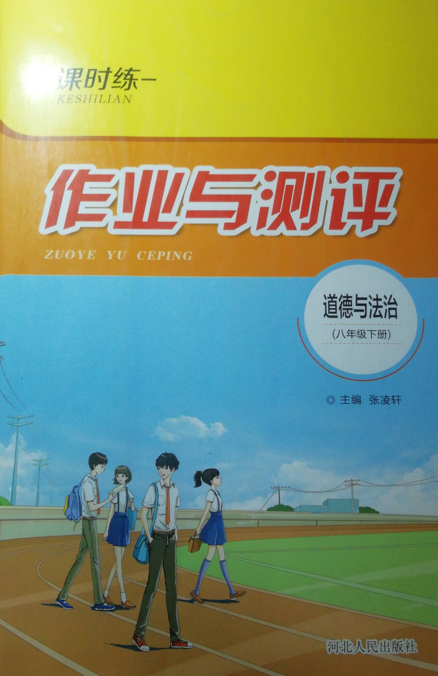 2023年课时练—作业与测评八年级政治下册通用版