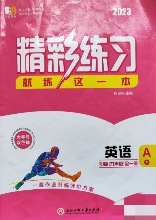 2024年精彩练习九年级英语全册人教版