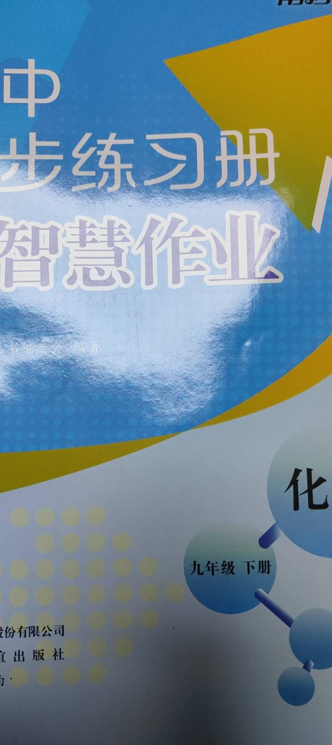 2024年初中同步练习册智慧作业九年级化学下册通用版