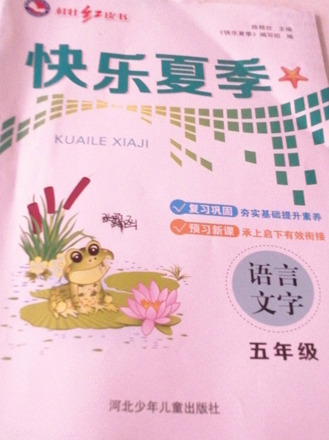 2023年快乐夏季五年级语文全册通用版
