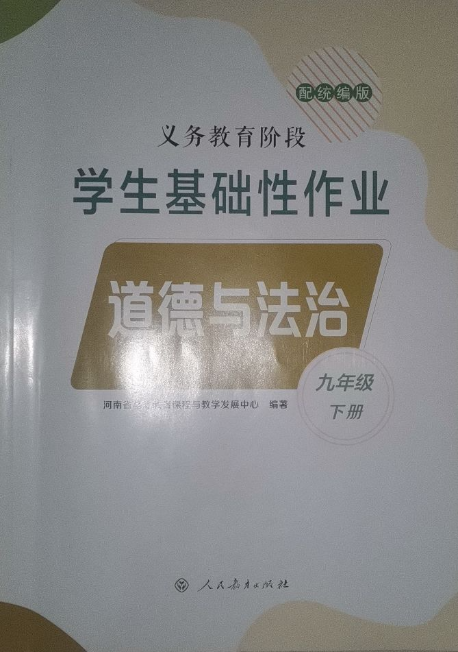 2024年学生基础性作业道德与法治九年级政治下册统编版
