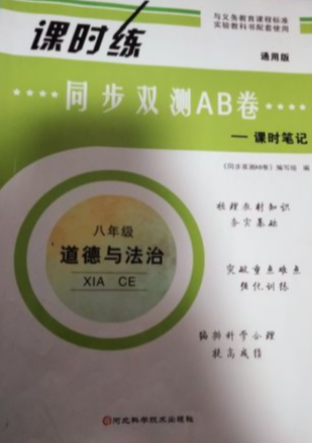 2023年课时练同步双测AB卷-课时笔记八年级政治全册通用版