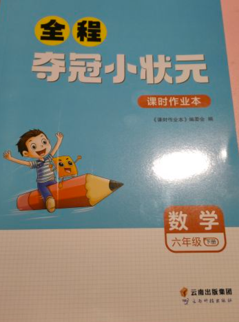 2023年全程夺冠小状元课时作业本六年级数学下册苏教版