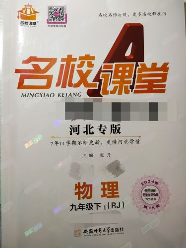 2023年名校课堂九年级物理下册人教版河北专版