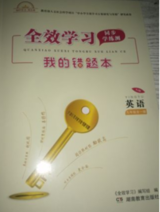 2023年全效学习同步学练册我的错题本九年级英语全册通用版