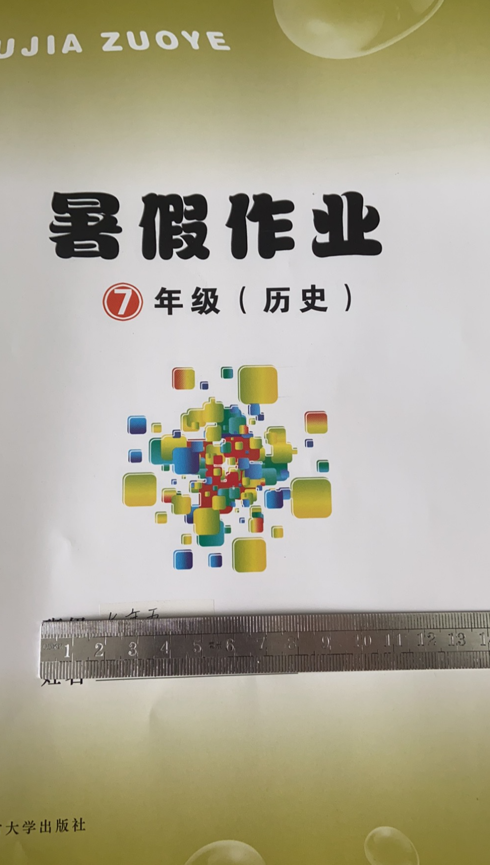 2023年暑假作业七年级历史全册通用版