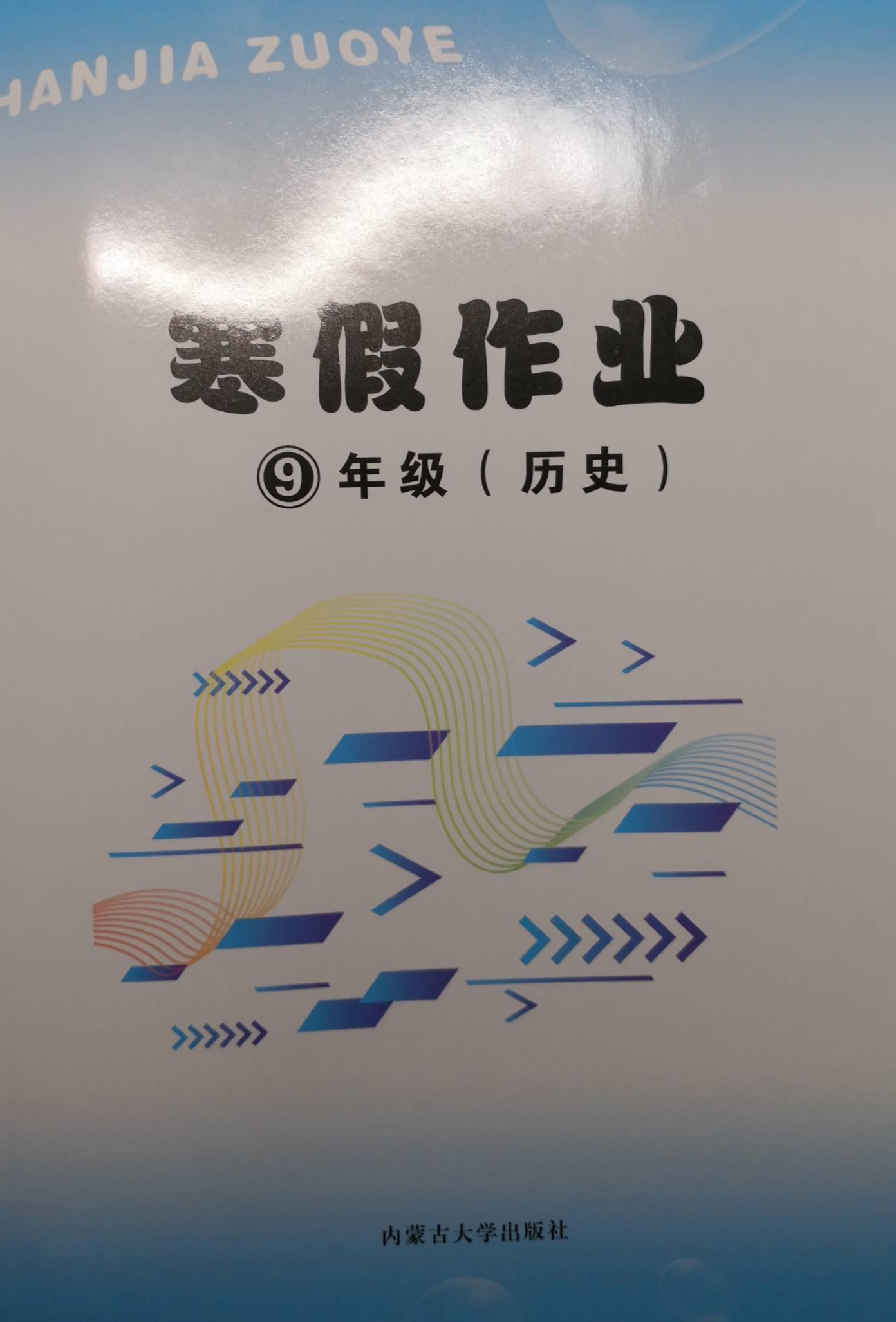 2024年寒假作业九年级历史全册通用版