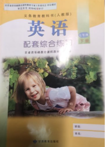 2023年配套综合练习七年级英语下册人教版