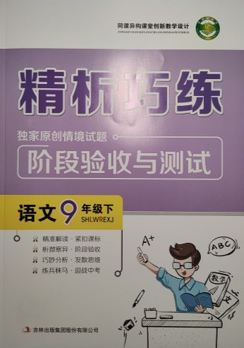 2023年精析巧练阶段验收与测试九年级语文下册通用版